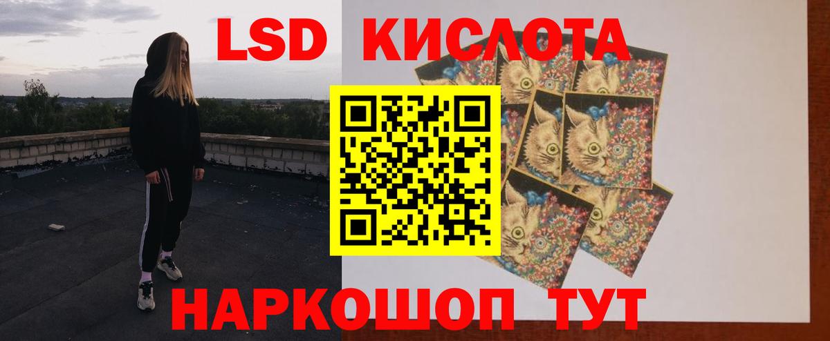 Выборг  Лсд 25 экстази кислота  Вход с VPN 