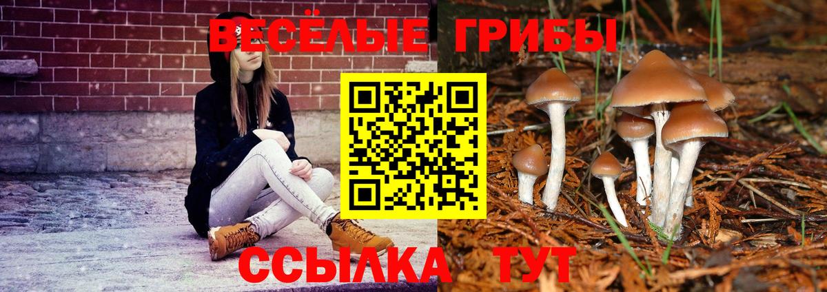 Псилоцибиновые грибы MAGIC MUSHROOMS Выборг